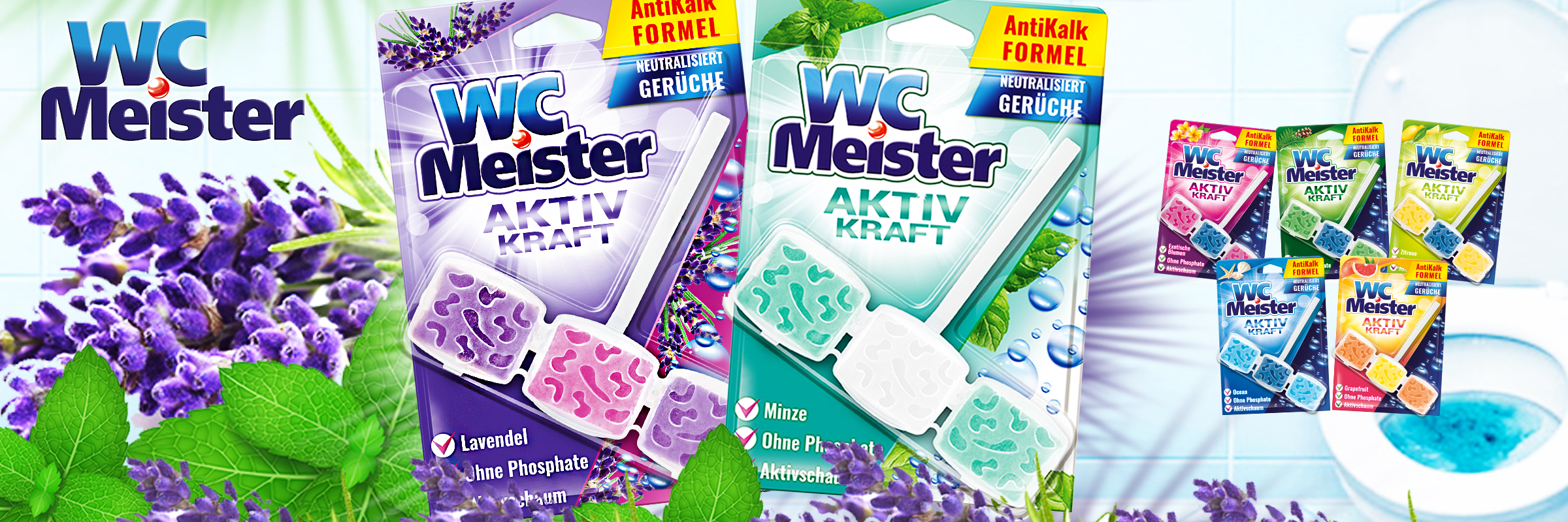New fragrances of WC Meister toilet rim cages - lavender and mint
